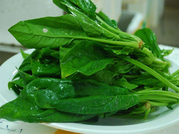 東莞飯堂承包公司介紹菠菜的營養價值